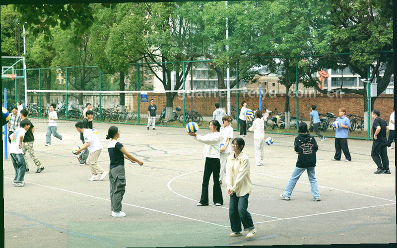 带有阵容站位图形的椰林绿渐变背景