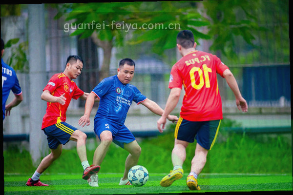 手机屏幕上的首发阵容站位图示意